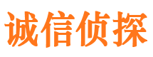 城阳捉小三公司